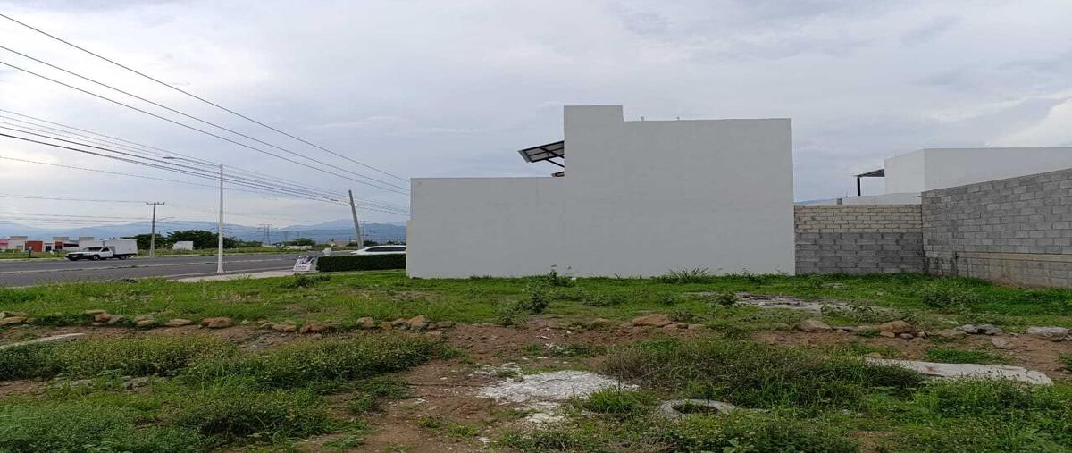 Foto de terreno habitacional en renta en  , la comarca, villa de álvarez, colima, 0 No. 04