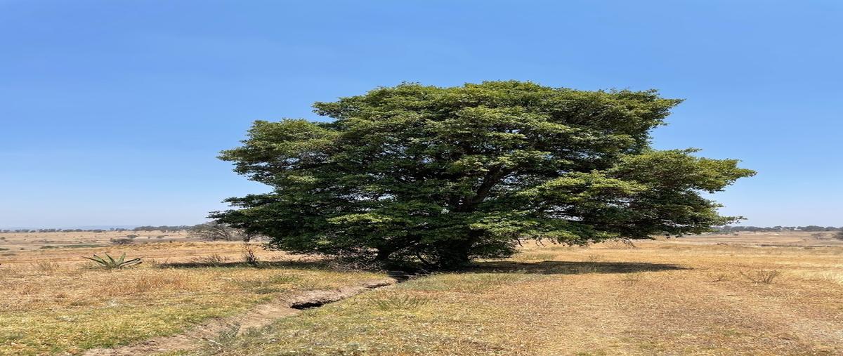 Foto de terreno habitacional en venta en  , la concepción, aculco, méxico, 26249462 No. 03