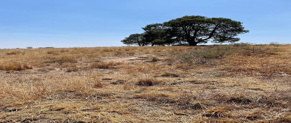 Foto de terreno habitacional en venta en  , la concepción, aculco, méxico, 26249462 No. 04