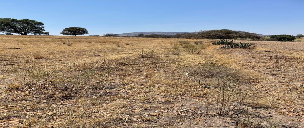 Foto de terreno habitacional en venta en  , la concepción, aculco, méxico, 26249462 No. 05