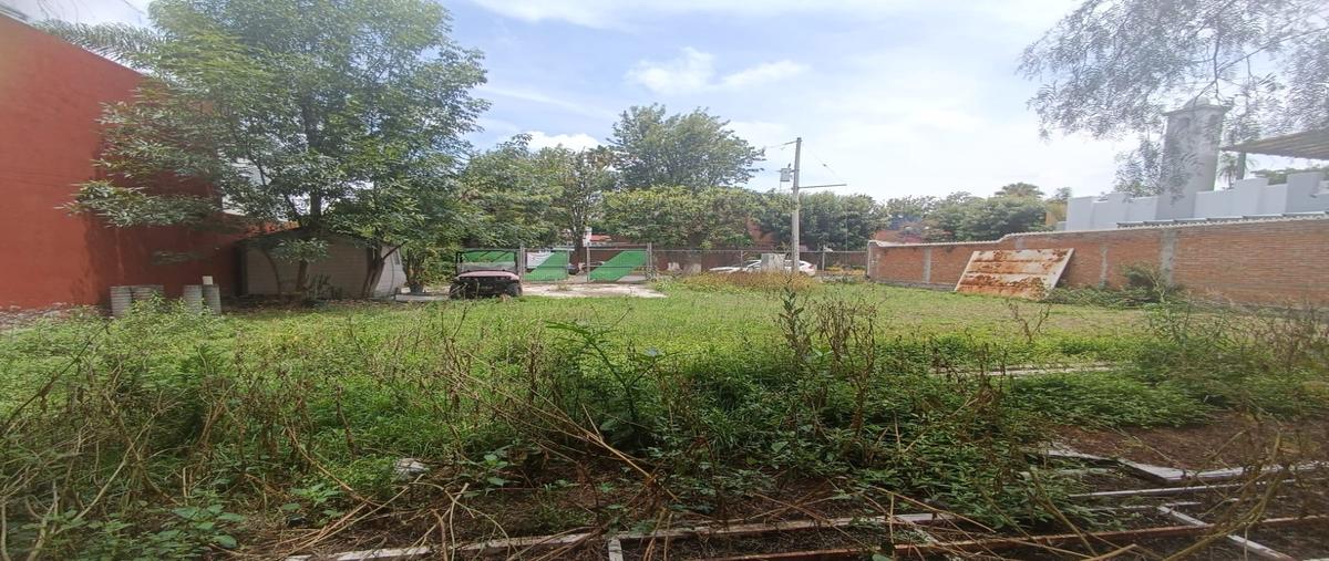 Foto de terreno habitacional en venta en  , la concepción, puebla, puebla, 0 No. 05