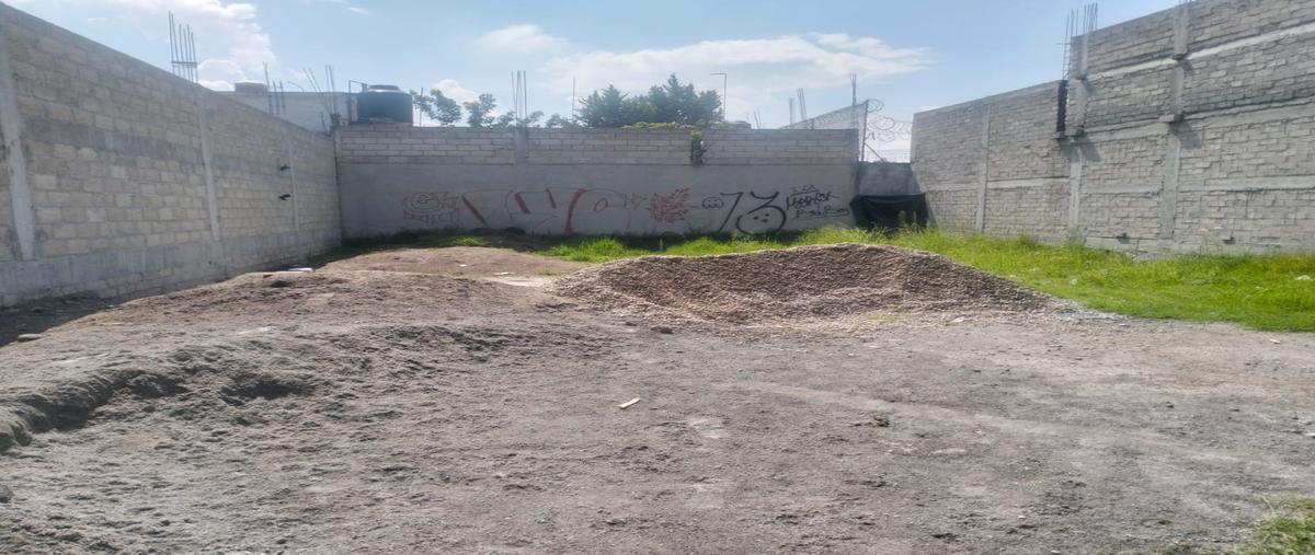Foto de terreno habitacional en venta en  , la concepción, san mateo atenco, méxico, 0 No. 03