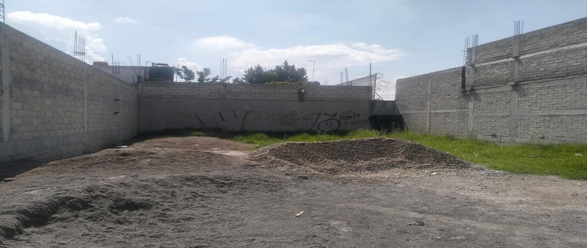 Foto de terreno habitacional en venta en  , la concepción, san mateo atenco, méxico, 0 No. 04