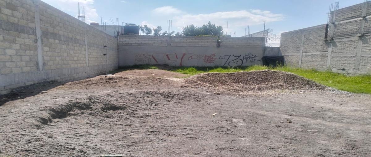 Foto de terreno habitacional en venta en  , la concepción, san mateo atenco, méxico, 0 No. 05