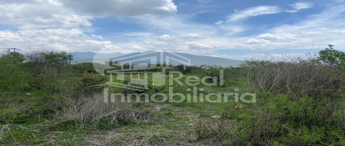 Foto de terreno habitacional en , la concepción, tepotzotlán, méxico, 0 foto 03 Foto de terreno habitacional en venta en , la concepción, tepotzotlán, méxico, 0 No. 03