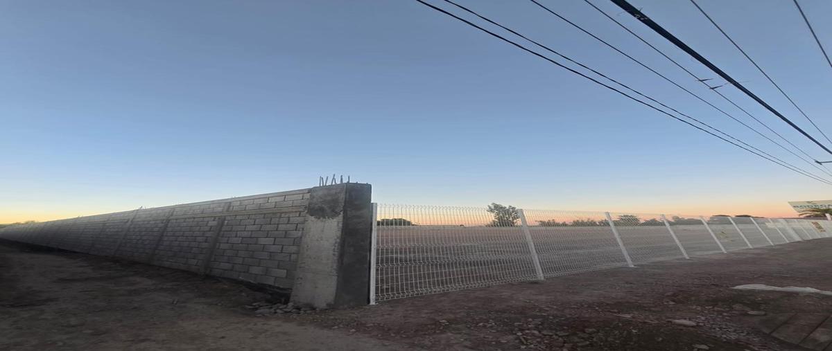 Foto de terreno comercial en renta en  , la concha, torreón, coahuila de zaragoza, 0 No. 03