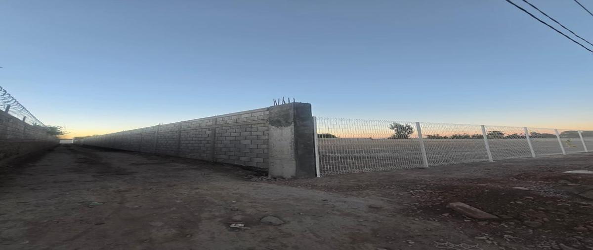 Foto de terreno comercial en renta en  , la concha, torreón, coahuila de zaragoza, 0 No. 04