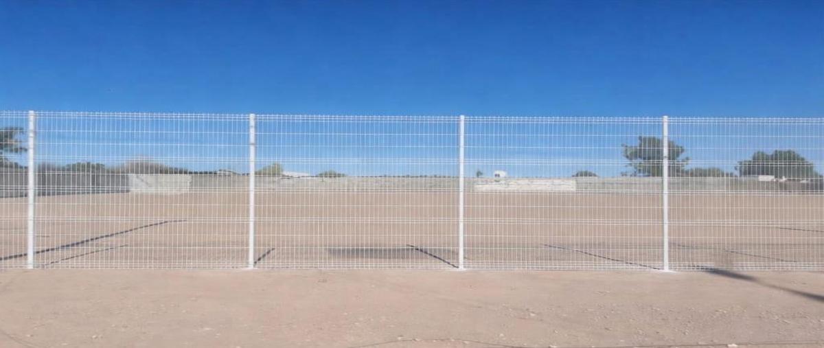 Foto de terreno comercial en renta en  , la concha, torreón, coahuila de zaragoza, 0 No. 05