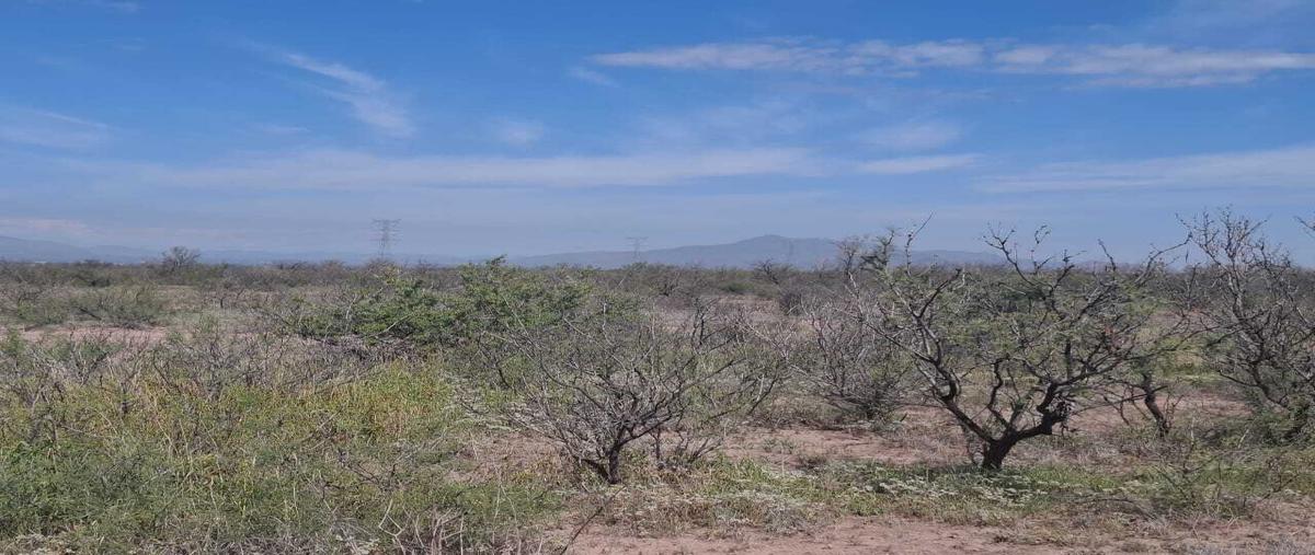 Foto de terreno habitacional en venta en  , la concordia, chihuahua, chihuahua, 0 No. 04