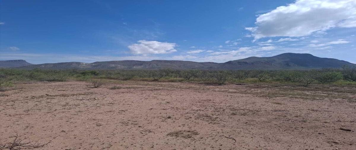 Foto de terreno habitacional en venta en  , la concordia, chihuahua, chihuahua, 0 No. 05