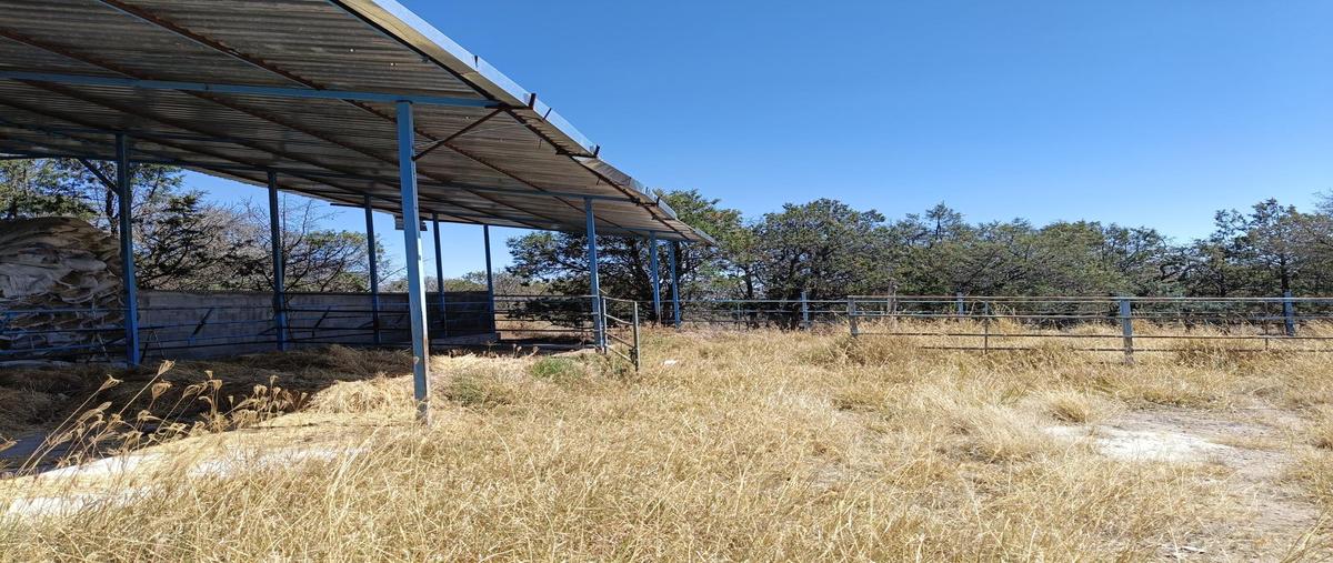 Foto de rancho en venta en  , la congoja, san josé de gracia, aguascalientes, 0 No. 03