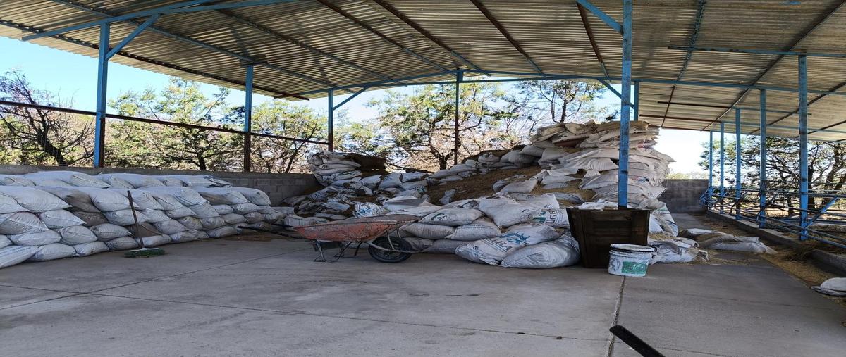 Foto de rancho en venta en  , la congoja, san josé de gracia, aguascalientes, 0 No. 04