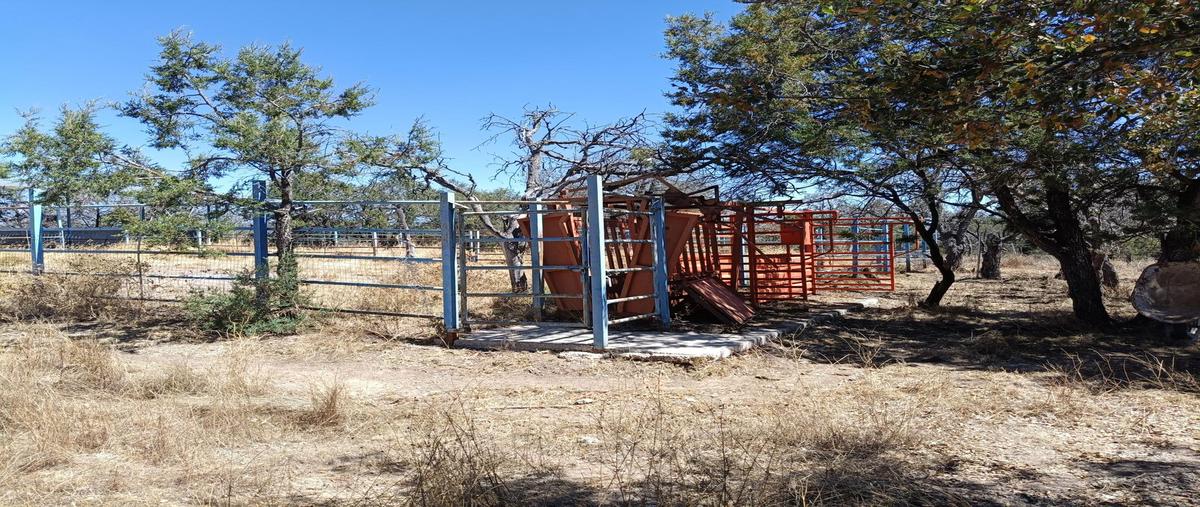Foto de rancho en venta en  , la congoja, san josé de gracia, aguascalientes, 0 No. 05