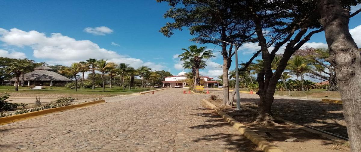 Foto de rancho en venta en la costerita , villa bonita, culiacán, sinaloa, 24874505 No. 03