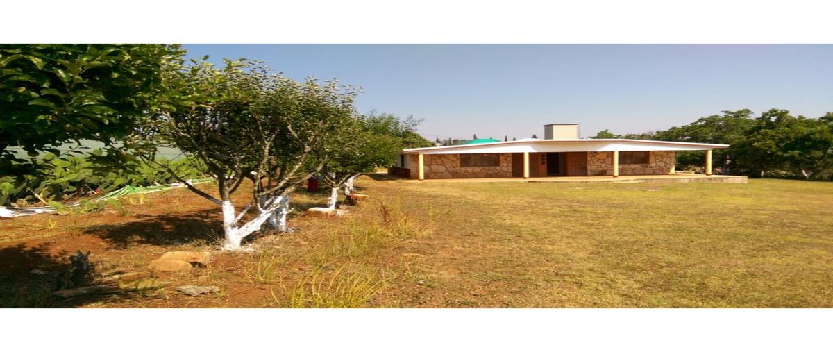 Foto de terreno habitacional en venta en  , la cruz (barrio de la cruz), atotonilco el grande, hidalgo, 26231705 No. 04