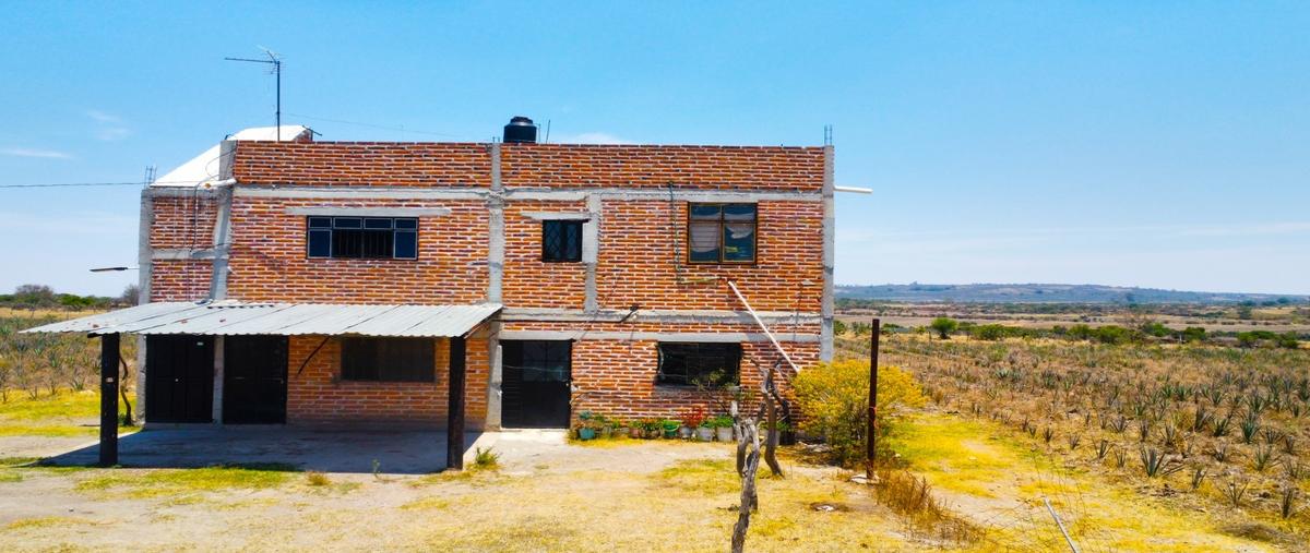 Foto de rancho en venta en  , la cruz de orozco, san miguel el alto, jalisco, 0 No. 03