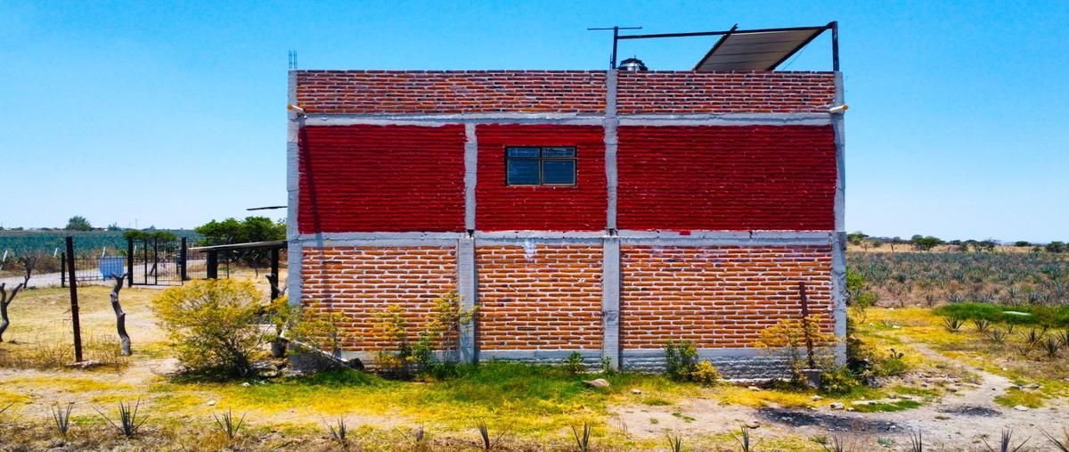 Foto de rancho en venta en  , la cruz de orozco, san miguel el alto, jalisco, 0 No. 04