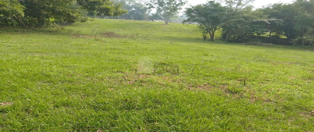 Foto de terreno comercial en venta en la cruz del bajío 20, dos montes, centro, tabasco, 28559184 No. 03