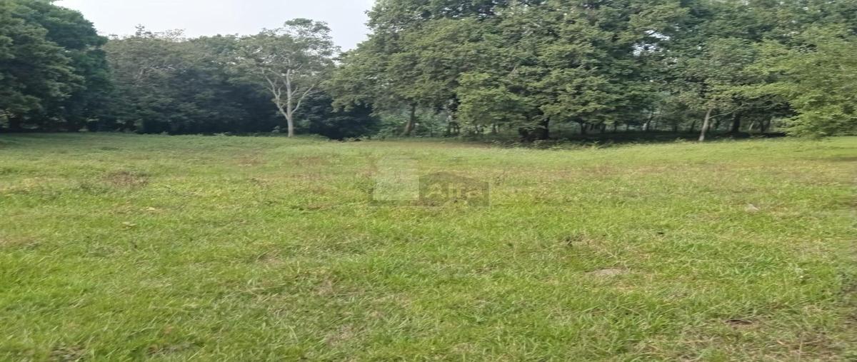 Foto de terreno industrial en venta en la cruz del bajío 20, dos montes, centro, tabasco, 28559184 No. 05