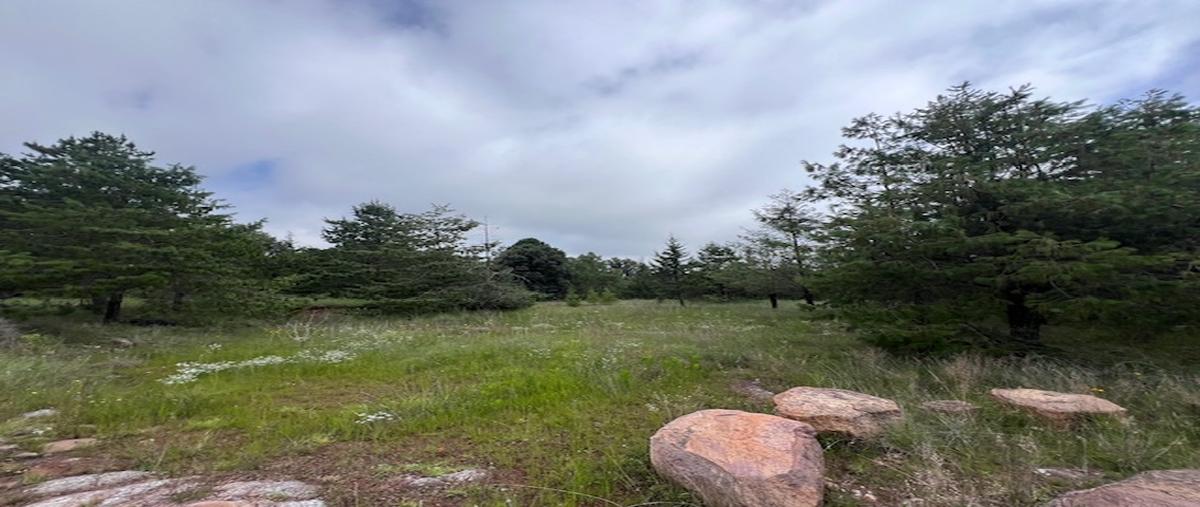 Foto de terreno habitacional en venta en la cruz , nuevo amanecer, amealco de bonfil, querétaro, 0 No. 03