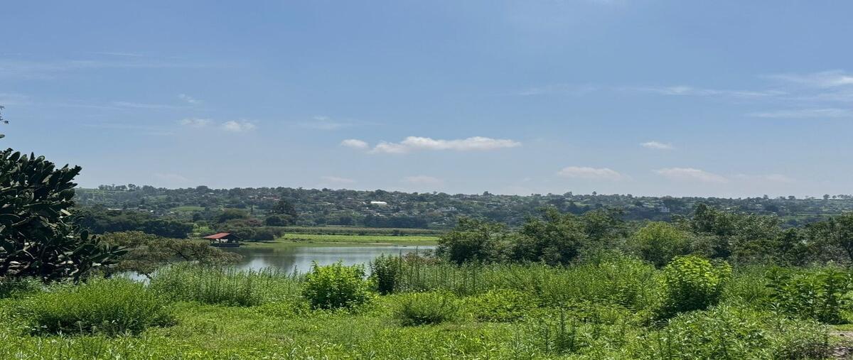 Foto de terreno habitacional en venta en  , la cruz y carrizal, villa del carbón, méxico, 29727176 No. 03