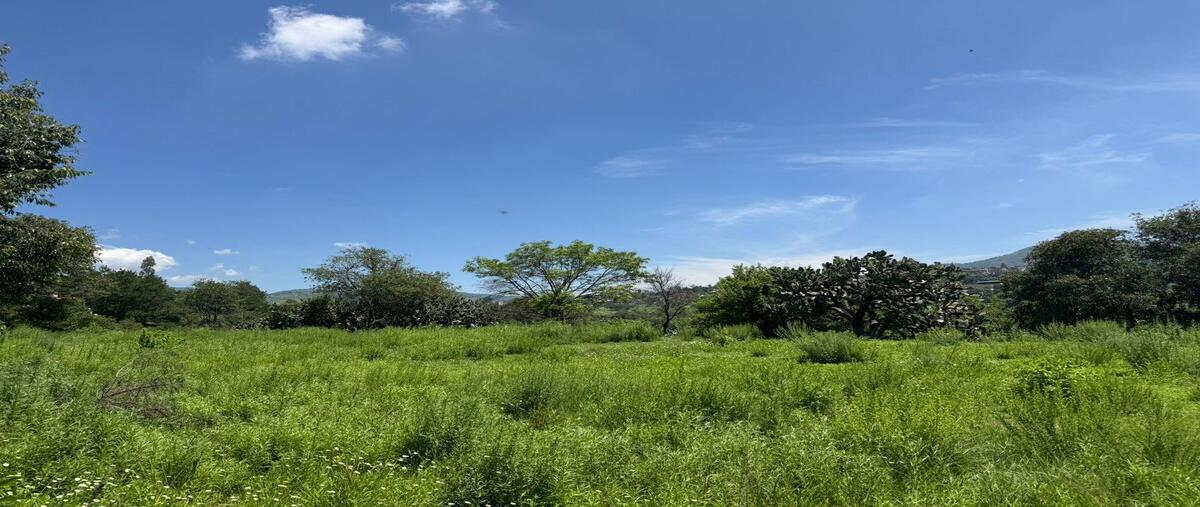 Foto de terreno habitacional en venta en  , la cruz y carrizal, villa del carbón, méxico, 29727176 No. 04