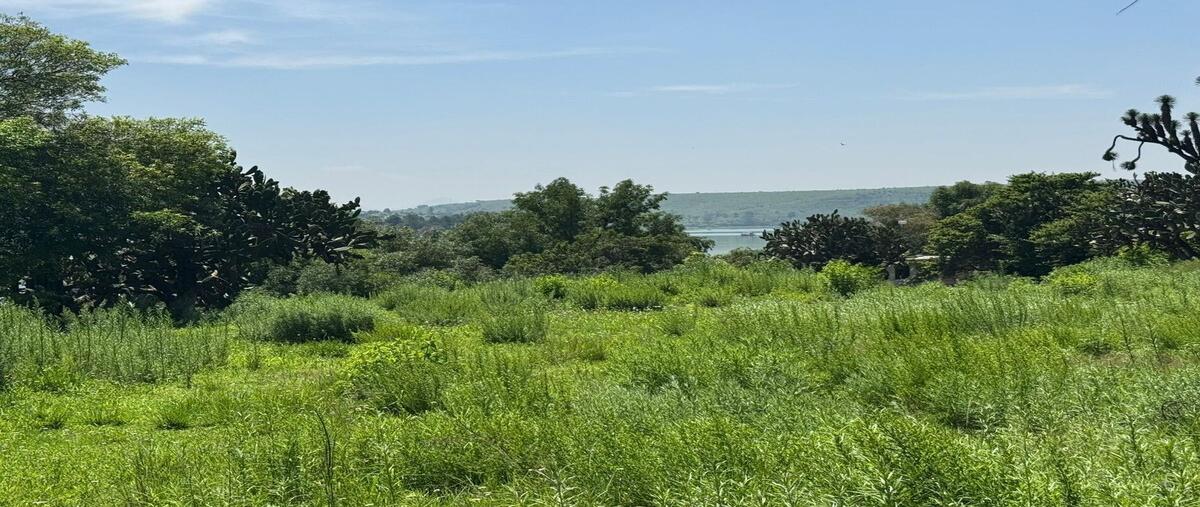 Foto de terreno habitacional en venta en  , la cruz y carrizal, villa del carbón, méxico, 29727176 No. 05