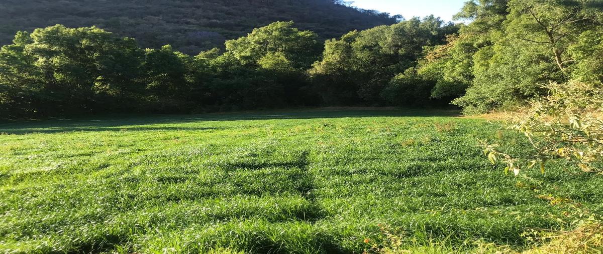 Foto de terreno habitacional en venta en la cuadrilla de telpintla , telpintla, temascaltepec, méxico, 8230663 No. 05