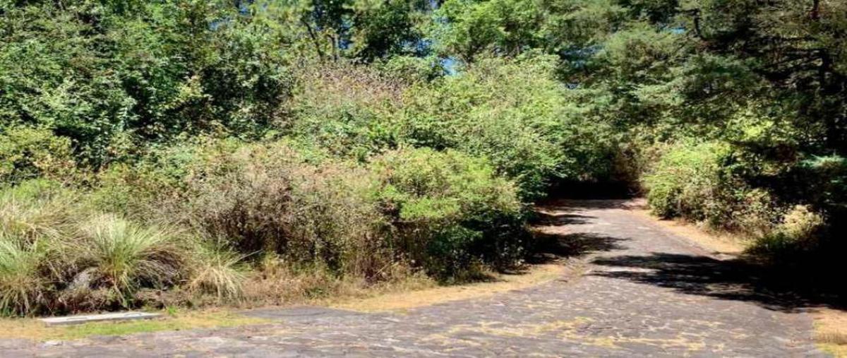 Foto de terreno habitacional en venta en la cuadrilla , valle de bravo, valle de bravo, méxico, 0 No. 03