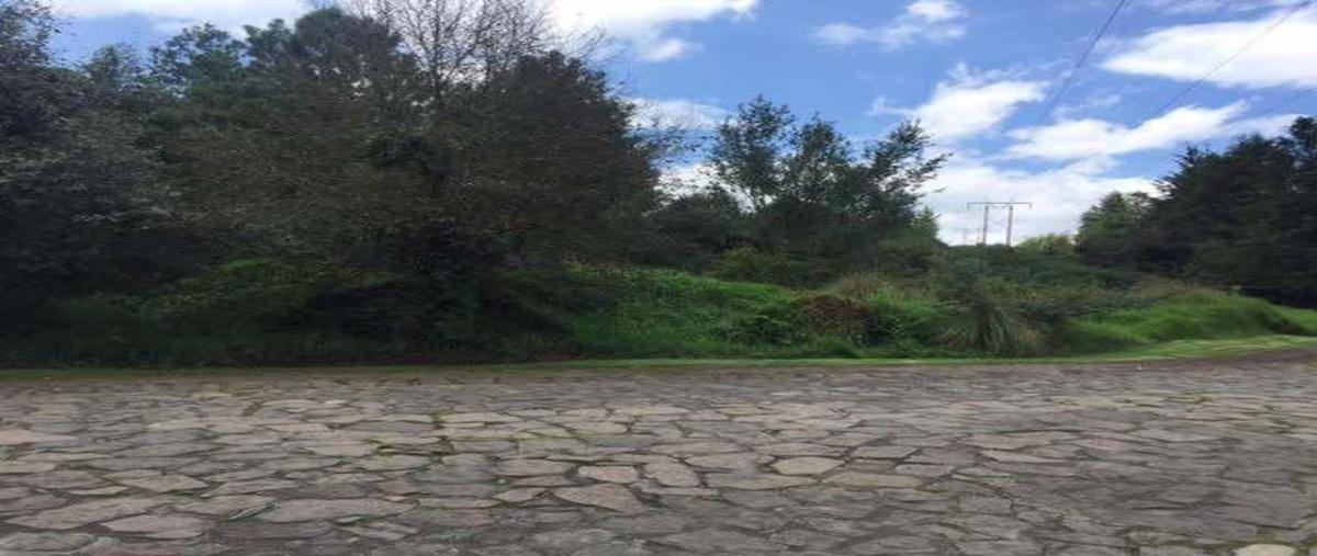 Foto de terreno habitacional en venta en la cuadrilla , valle de bravo, valle de bravo, méxico, 0 No. 04
