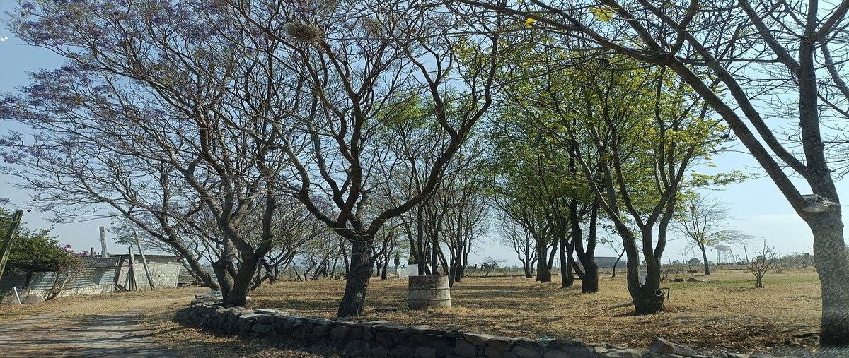 Foto de terreno habitacional en la cueva , la purísima de la cueva, corregidora, querétaro, 0 foto 02 Foto de terreno habitacional en venta en la cueva , la purísima de la cueva, corregidora, querétaro, 0 No. 02