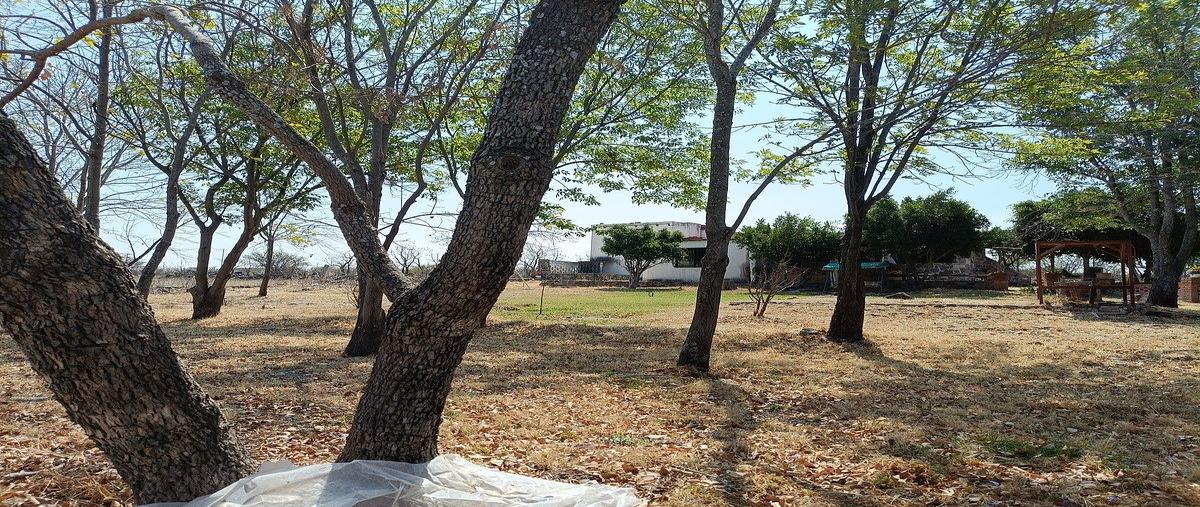 Foto de terreno habitacional en la cueva , la purísima de la cueva, corregidora, querétaro, 0 foto 03 Foto de terreno habitacional en venta en la cueva , la purísima de la cueva, corregidora, querétaro, 0 No. 03