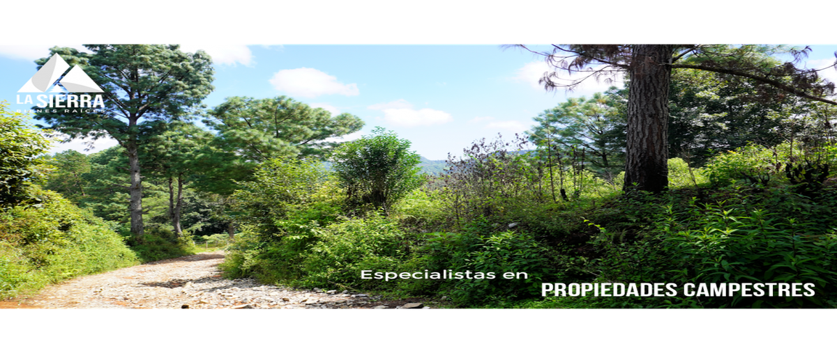 Foto de terreno habitacional en venta en  , la cumbre, huauchinango, puebla, 0 No. 03