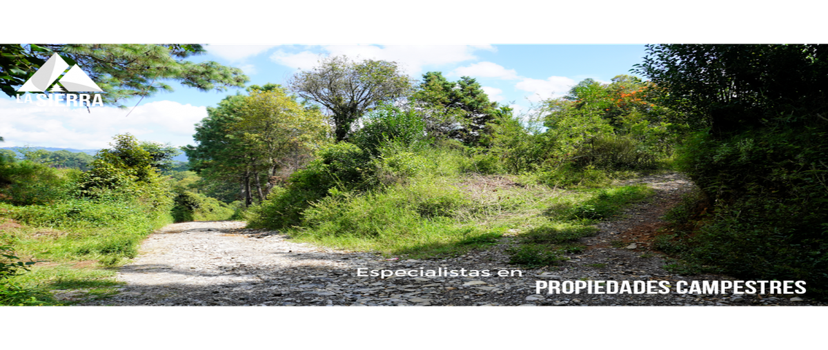 Foto de terreno habitacional en venta en  , la cumbre, huauchinango, puebla, 0 No. 04