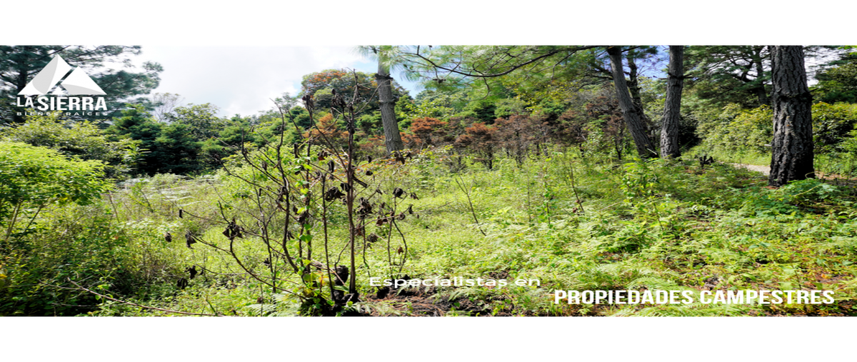 Foto de terreno habitacional en venta en  , la cumbre, huauchinango, puebla, 0 No. 05