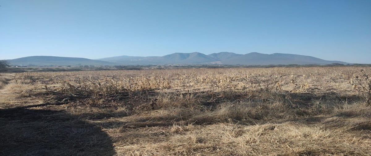 Foto de terreno habitacional en venta en la d , la d, pedro escobedo, querétaro, 0 No. 04