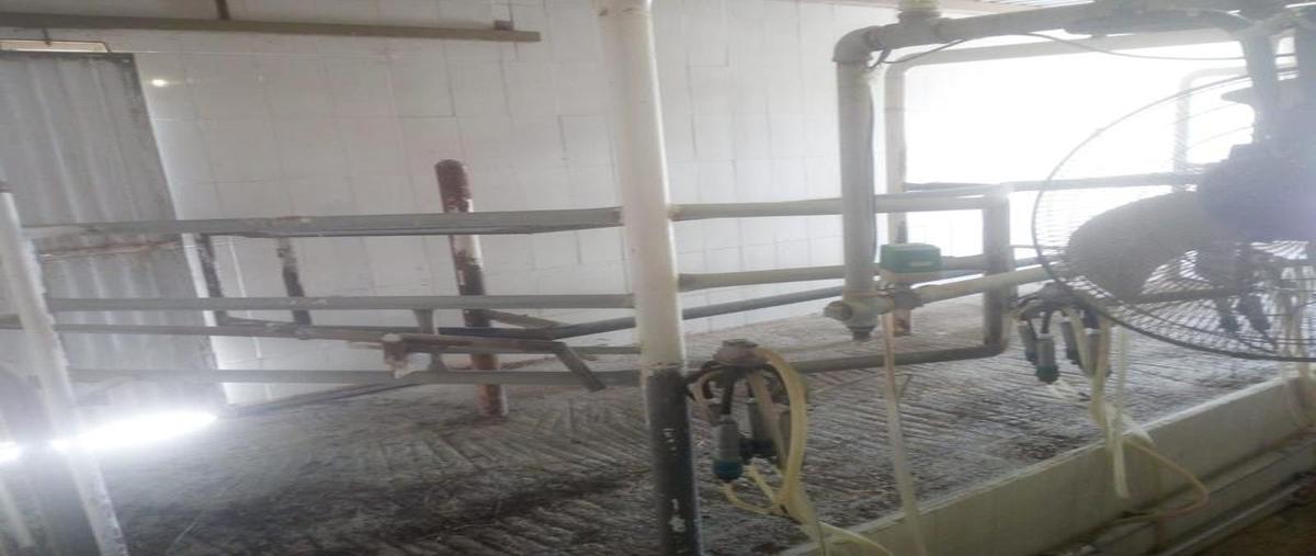 Foto de casa en venta en  , la divina providencia, asientos, aguascalientes, 0 No. 05