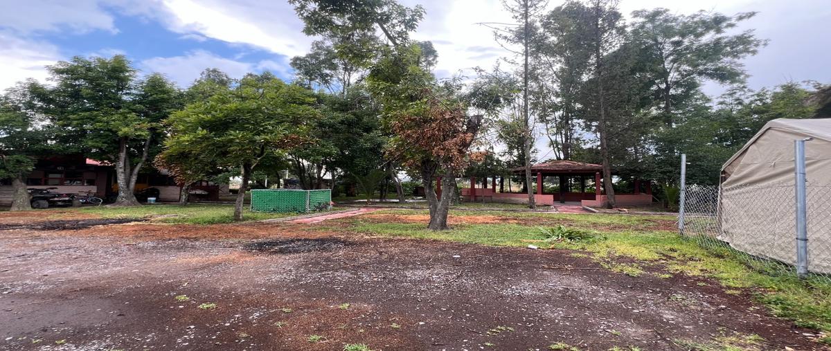 Foto de local en , la dura, san josé iturbide, guanajuato, 30254259 foto 03 Foto de local en venta en , la dura, san josé iturbide, guanajuato, 30254259 No. 03