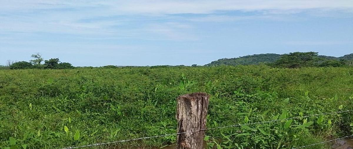 Foto de terreno comercial en venta en  , la entrada, bahía de banderas, nayarit, 28997925 No. 03