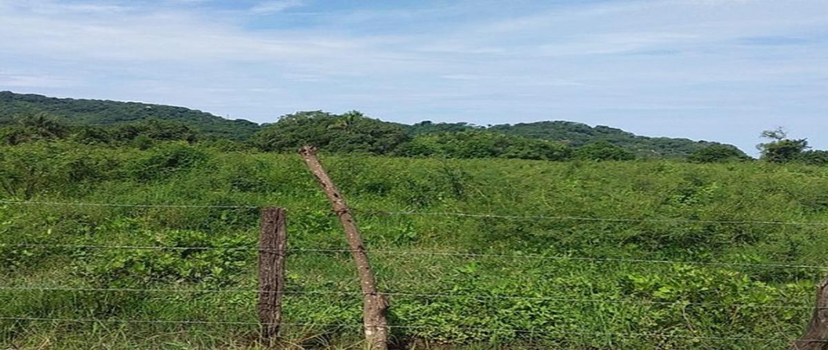 Foto de terreno comercial en venta en  , la entrada, bahía de banderas, nayarit, 28997925 No. 04