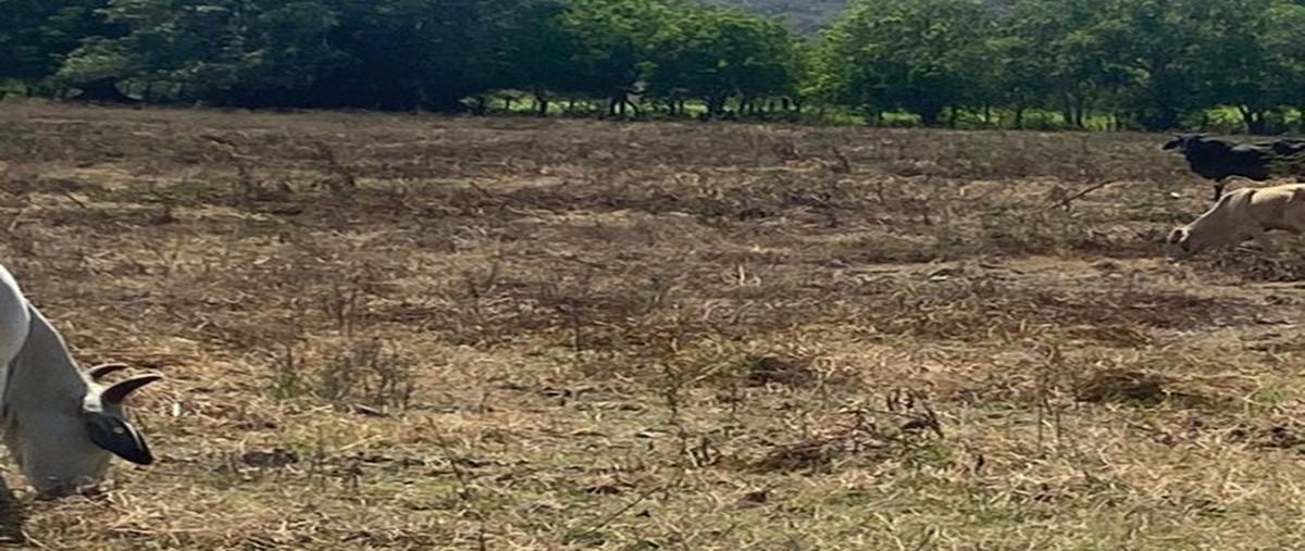 Foto de terreno comercial en venta en  , la entrada, bahía de banderas, nayarit, 28997925 No. 05