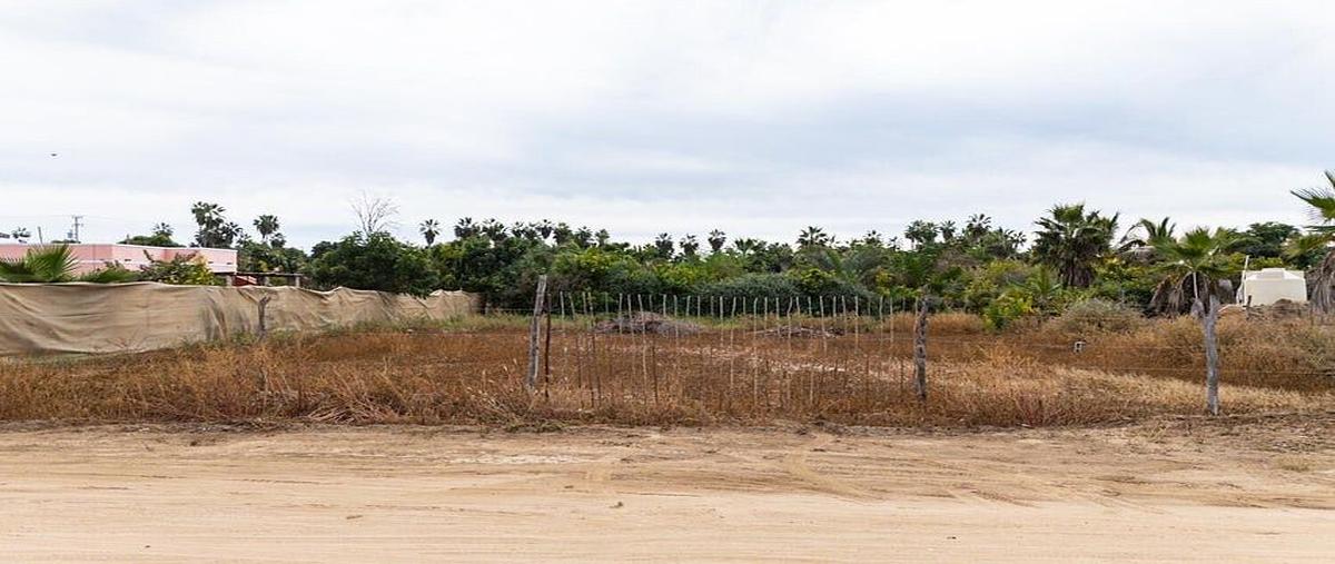 Foto de terreno habitacional en venta en la escondida , los cerritos, la paz, baja california sur, 30603157 No. 04