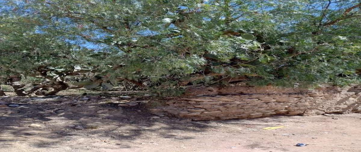 Foto de terreno habitacional en venta en la escondida , mineral de pozos, san luis de la paz, guanajuato, 0 No. 03