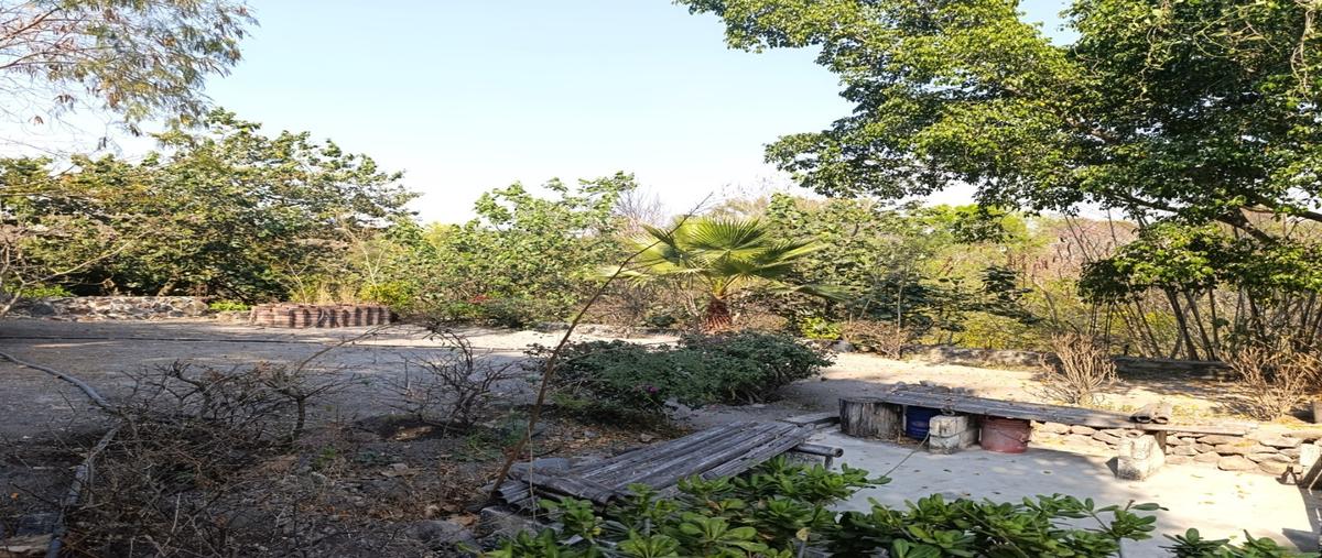 Foto de terreno habitacional en venta en  , la escopeta, ayala, morelos, 0 No. 05
