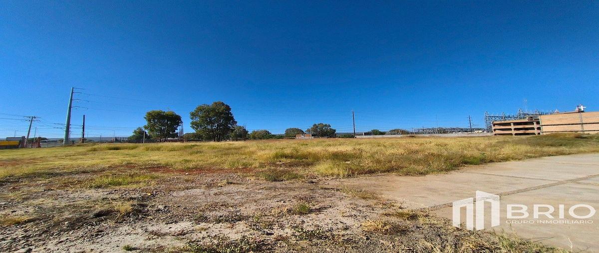 Foto de terreno comercial en venta en  , la esmeralda, durango, durango, 30692912 No. 05