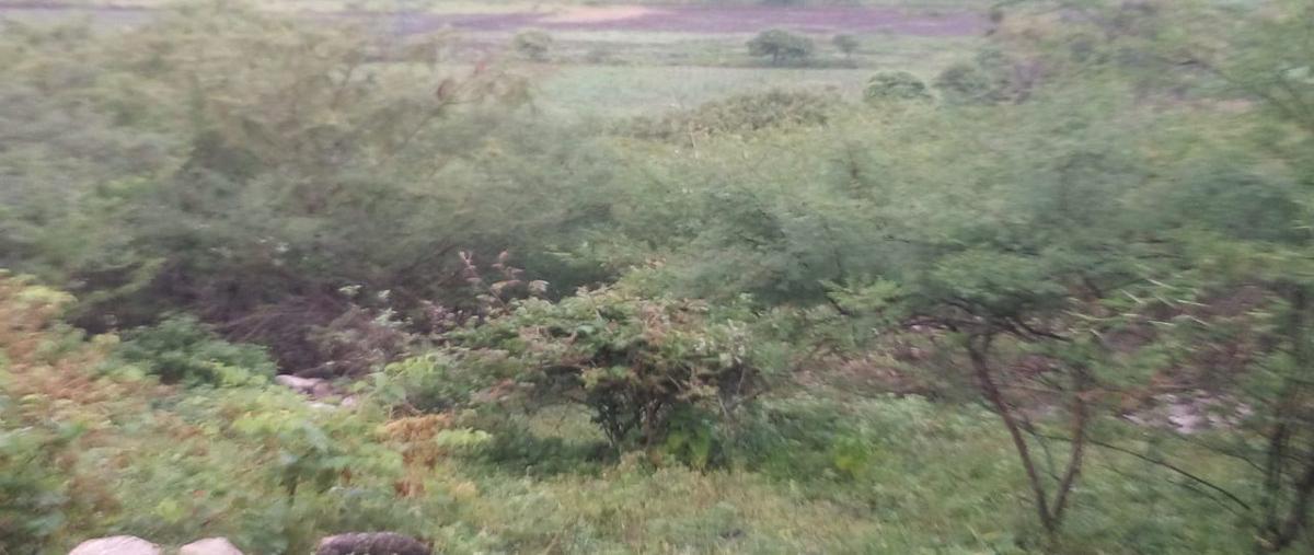 Foto de terreno habitacional en , la esperanza, cuautla, morelos, 18403312 foto 02 Foto de terreno habitacional en venta en , la esperanza, cuautla, morelos, 18403312 No. 02