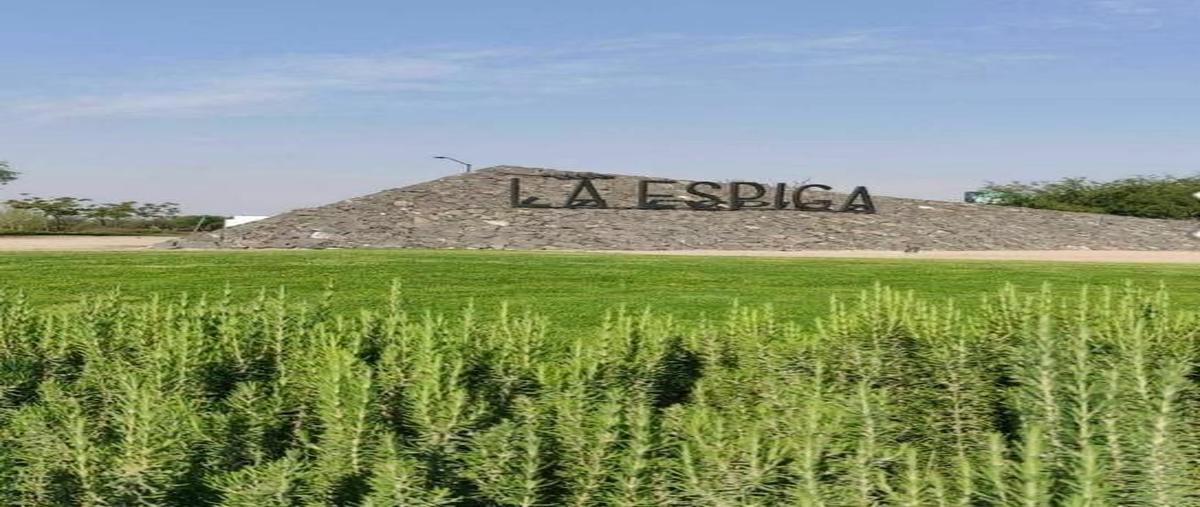 Foto de terreno habitacional en venta en  , la espiga, querétaro, querétaro, 27823760 No. 04