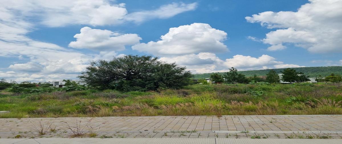 Foto de terreno habitacional en venta en  , la espiga, querétaro, querétaro, 0 No. 04