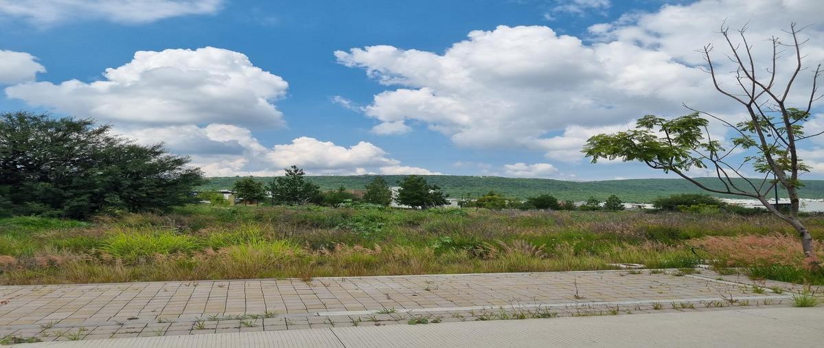 Foto de terreno habitacional en venta en  , la espiga, querétaro, querétaro, 0 No. 05