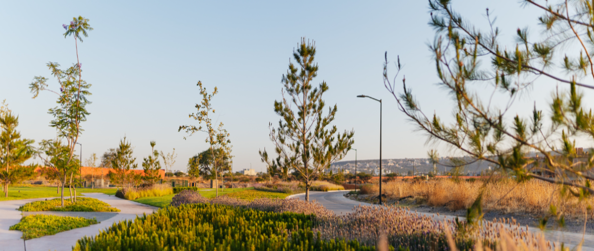 Foto de terreno habitacional en venta en la espiga , santiago, querétaro, querétaro, 27902661 No. 04